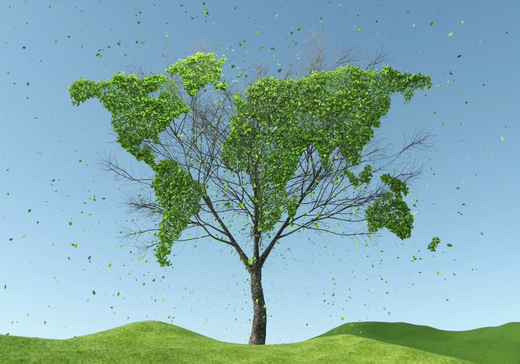 Tree World Map Sustainability  - RoadLight / Pixabay